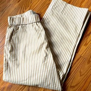 Everlane striped straight leg easy chino pant